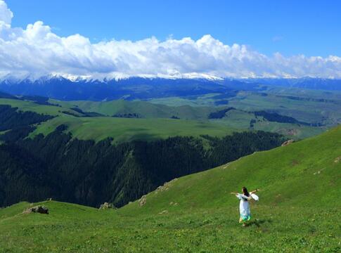 大伊香蕉精品一区视频在线:13-16-28-29-42-47R:03,探索大伊香蕉精品一区,在线视频的魅力与多样性