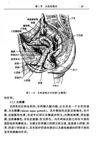 妇女性内射冈站HDWWW000:04-16-22-29-40-49X:07,探索妇女性健康与性教育的深度话题——冈站HDWWW下的多元视角