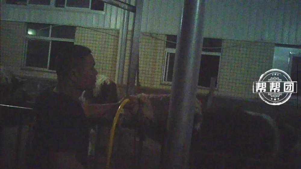 亚洲午夜国产精品无码老牛影视:05-26-28-31-38-40M:38,关于亚洲午夜国产精品无码老牛影视的探讨