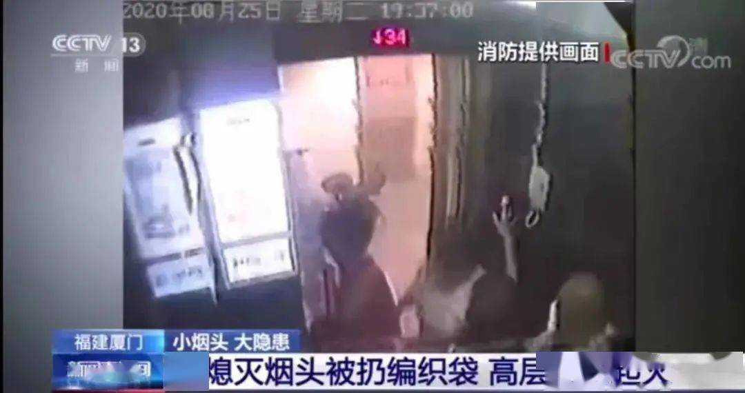 国产香蕉一区二区三区在线视频:06-08-15-28-31-47X:36,探索国产香蕉产业,一区、二区、三区的在线视频发展与产业洞察(关键词,国产香蕉一区二区三区在线视频: 06-08-15-28-31-47X,36)