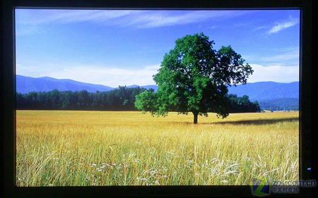 国产精品青草久久久久福利99:07-16-26-35-36-41T:05,国产精品青草福利,探索文化艺术的深度与广度