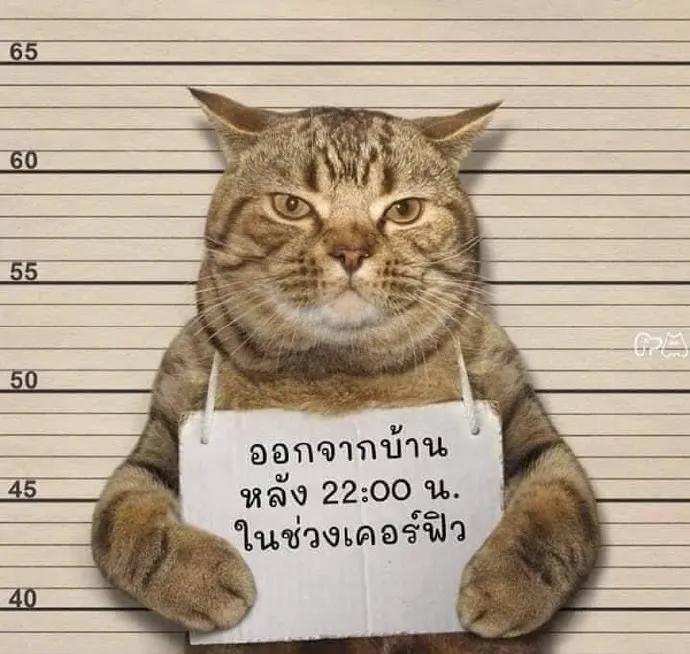 人禽杂交18禁网站免费:01-08-10-23-44-49B:14,关于网络内容与道德伦理的探讨——以人禽杂交等关键词为例