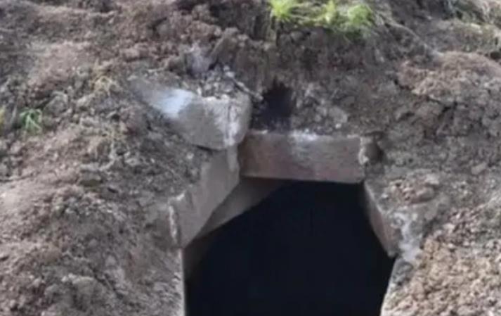 日本大片免费观看视频:05-08-18-21-28-42F:47,探索日本影视文化的宝藏,免费观看精彩大片的指南(05-08-18-21-28-42F,47)