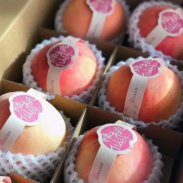 99久久99久久精品免费看蜜桃:07-14-19-28-37-42V:28,探索蜜桃世界的奇妙之旅,免费欣赏精品内容的新体验