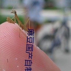 国产精品成人VA在线播放:07-26-28-31-47-49Y:12,关于国产精品成人VA在线播放的探索与体验,一场视觉盛宴的解读