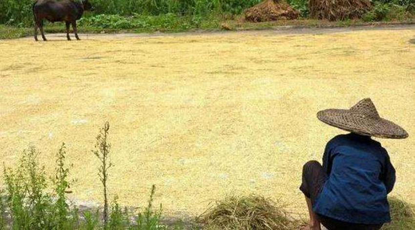 80岁老熟妇乱子伦牲交:09-13-22-26-29-47N:36,伦理道德与社会责任,对一种不健康现象的反思