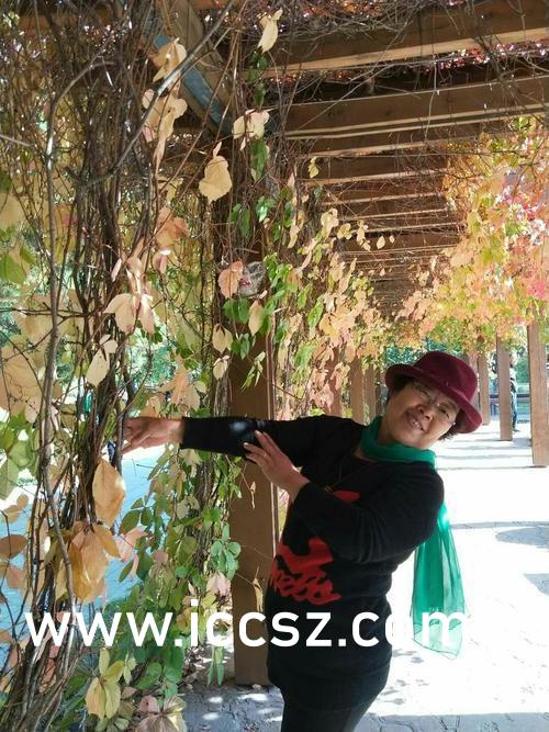 邻居少妇张开腿让我爽了一夜视频:16-18-25-35-40-48Z:23,关于网络视频内容与个人隐私的思考