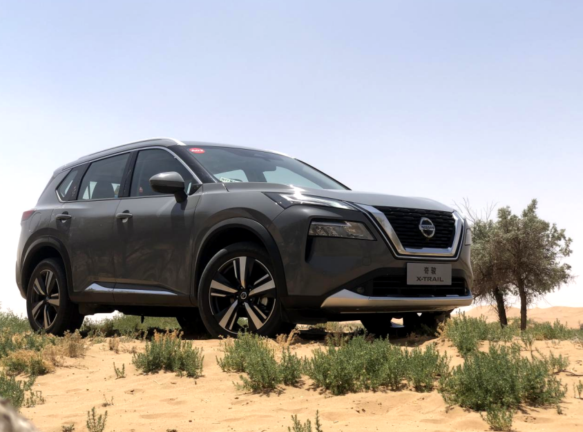 养虎为患 第6页