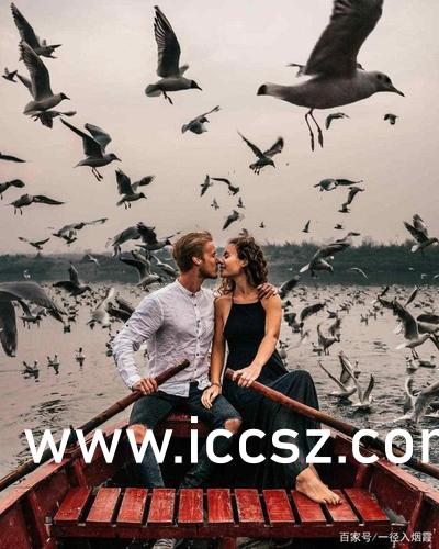 成人免费无码不卡毛片视频:03-10-19-25-29-49P:38,探索网络世界的边缘,关于成人免费无码视频的一些思考