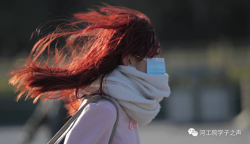 精品国产高清自在线一区二区:01-02-16-29-41-47N:18,探索精品国产高清自在线的魅力,一区二区的独特体验