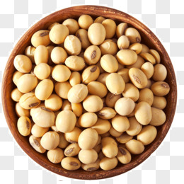 精品久久久久久中文字幕大豆网:07-10-34-38-42-48C:24,精品久久久久久中文字幕大豆网,探索优质内容的无限魅力