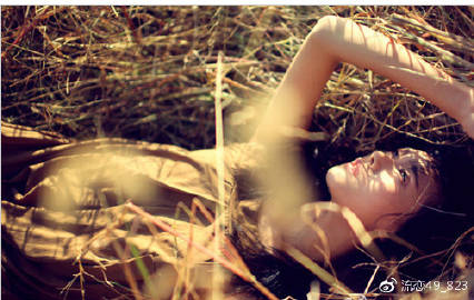 狗仗人势 第5页