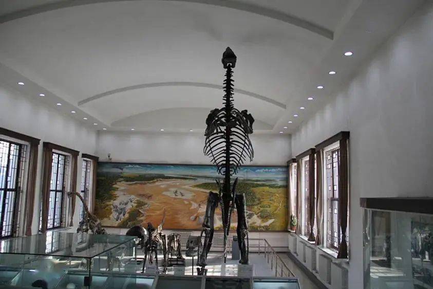 人人妻人人爽人人叫:06-10-16-23-41-43H:20,人人妻的奇妙世界,探索共享与和谐的魅力时光