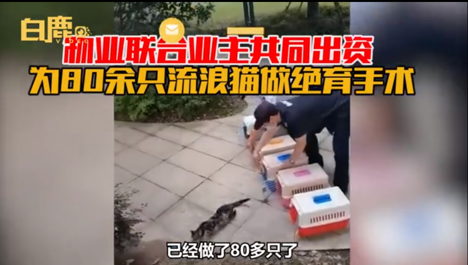 777国产偷窥盗摄精品品在线:14-27-31-33-36-46P:11,探索777国产偷窥盗摄精品的世界,深度解析与体验分享