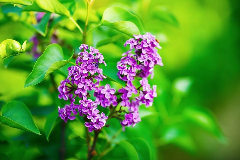 蝇营狗苟 第5页