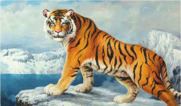 四虎成人精品国产永久免费无码:07-11-29-36-40-44M:29,四虎成人精品国产影视,探索永久免费无码资源的深度之旅