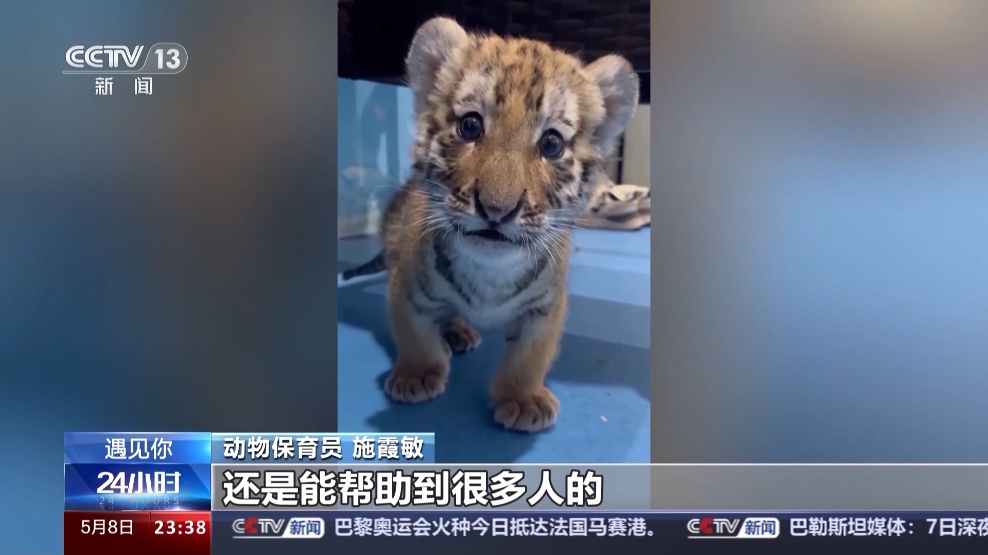 四虎永久在线精品免费视频观看:03-04-09-28-35-38R:42,四虎在线精品视频,探索免费观看的数字时代娱乐新境界