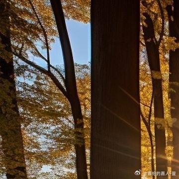 日日摸日日添日日透:05-09-17-27-35-46K:10,日日摸日日添日日透,一场数字与生活的独特交融