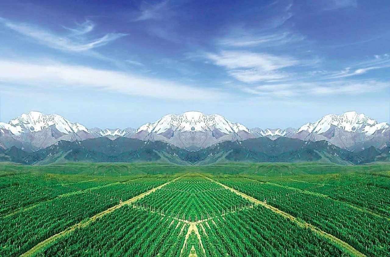 国产乱子伦一区二区三区=:14-20-21-25-38-46L:01,国产乱子伦一区二区三区,深度探索与多元解读