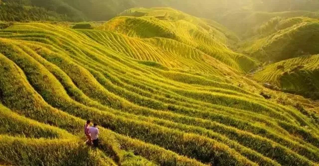 国产乱子伦一区二区三区=:14-20-21-25-38-46L:01,国产乱子伦一区二区三区,深度探索与多元解读