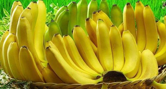 香蕉欧美成人精品a∨在线观看:10-21-28-36-40-46W:15,欧美成人精品与香蕉文化,在线观看的探索与赏析