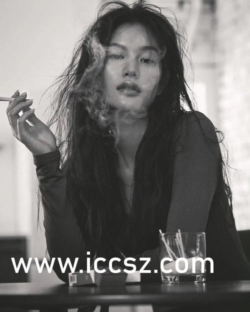 亚洲中文无码a∨在线观看:24-29-30-32-33-34H:31,探索亚洲中文影视文化,在线观看的无码魅力与深度