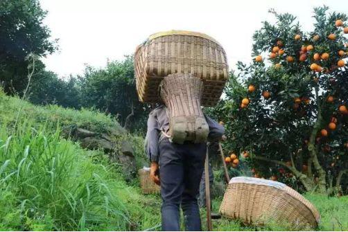 国产乱子伦视频湖北:06-08-13-24-26-27Y:14,国产乱子伦视频的发展与影响,湖北地区案例分析