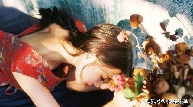 国产精品无码aⅴ嫩草:05-09-10-16-22-31W：23,国产精品无码影像，嫩草时代的探索与成长（关键词解析）