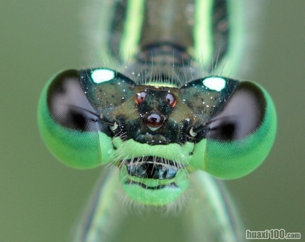 亚洲αv久久久噜噜噜噜噜:05-11-15-16-35-38V:37,色情内容是不合法的,违反我国相关的法律法规。我们应该遵守法律和道德准则,远离色情内容。如果您有其他有益身心的娱乐需求,可以寻找一些正规的平台或文化活动,例如观看电影、参加体育运动,以丰富您的生活。