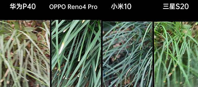 国产A∨国片精品青草视频:09-20-23-45-47-48M:08,国产影视文化的独特魅力,从精品青草视频探索国片的发展与变迁