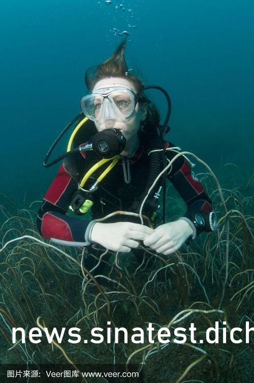 国外AV片免费看一区二区三区:08-09-34-35-42-44X：34,探索海外影视资源，免费观看一区、二区和三区AV片的指南（含关键词）