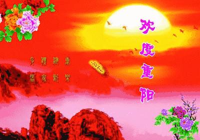 九九99久久精品综合:04-11-21-26-41-47L:14,九九99久久精品综合,探索数字背后的深意与独特魅力