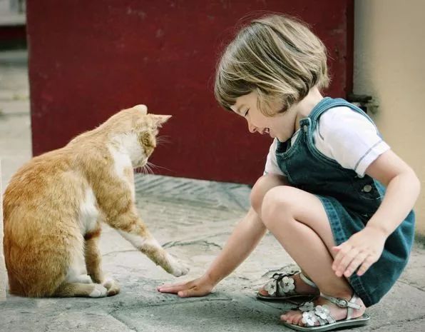 有码中文AV无码中文AV:10-15-19-20-35-49D:21,关于有码中文AV与无码中文AV的探讨,特定编号的分析与探讨