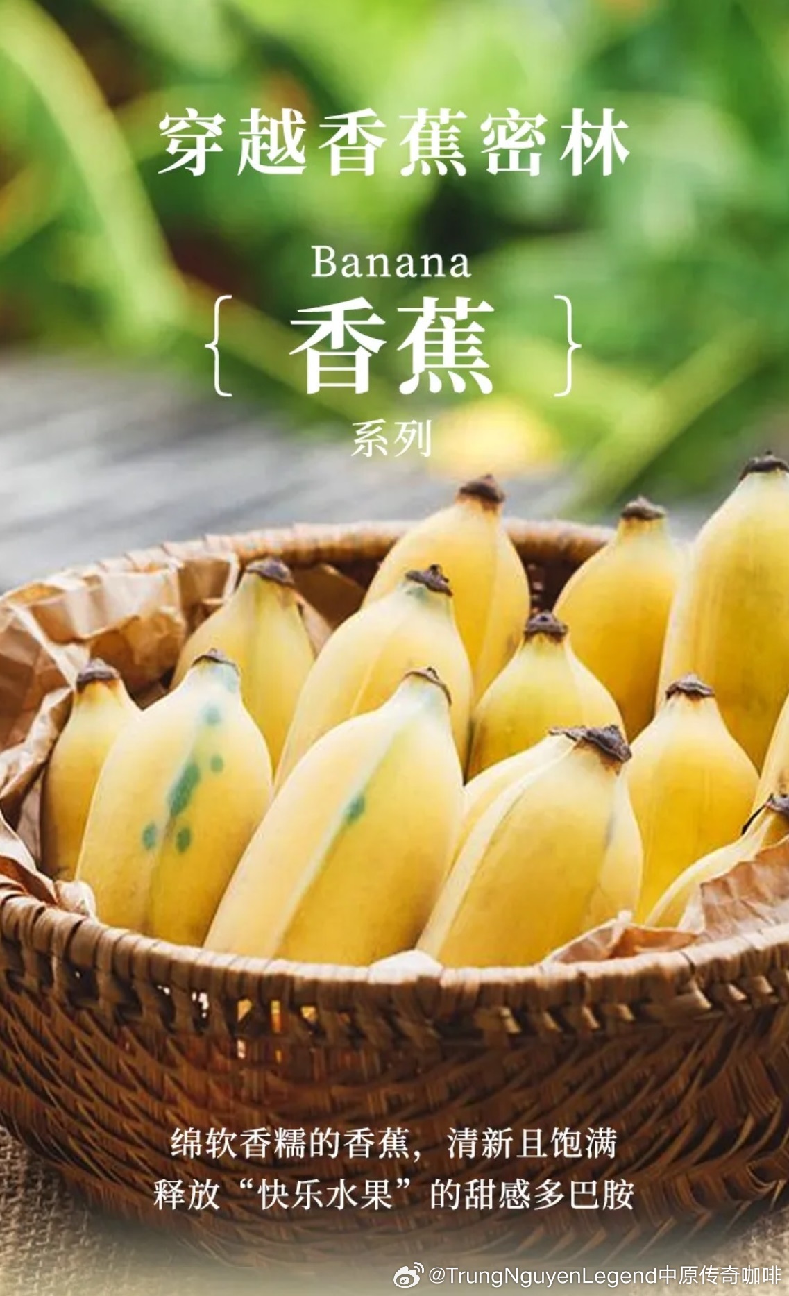 九九精品99久久久香蕉:11-16-27-28-31-47N:37,九九精品与香蕉的奇妙世界,探索未知的魅力与独特体验