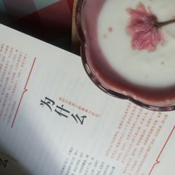 色老99久久九九爱精品:08-13-33-39-45-48M:40,色老99久久九九爱精品,探索数字背后的深层含义与情感表达