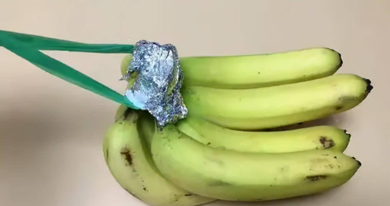 关门打狗 第5页