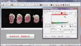 99精品久久久久中文字幕:02-03-24-28-30-44D:02,探索精品影视世界,久久久中文字幕的魅力与深度解析