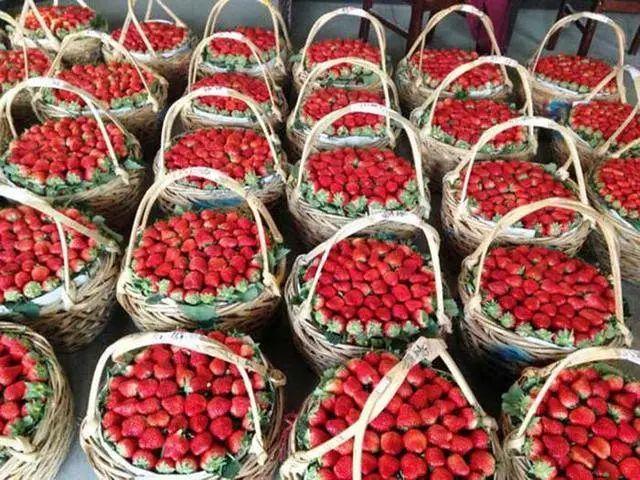 99久久精品这里只有精品:12-14-27-33-48-49Y:41,探索精品之路,从99久久到独特品质的探索之旅