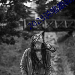 国产香蕉97碰碰久久人人:05-16-23-26-30-38V：47,国产香蕉与数字密码，一场独特的文化交融之旅