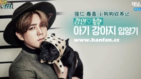 亚洲VA中文字幕不卡无码:09-13-25-29-30-39H:04,探索亚洲VA中文字幕的魅力,高清流畅无码的视听体验之旅