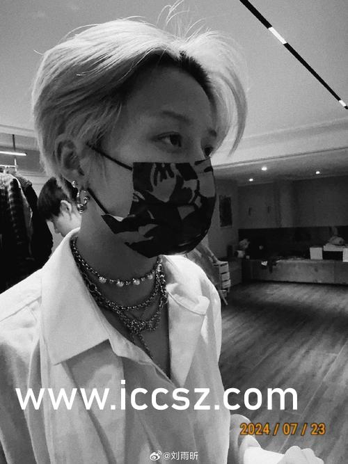 万马齐喑 第5页