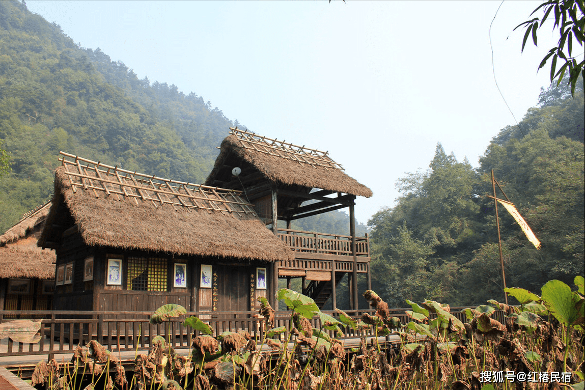 香蕉久久国产超碰青草:25-28-39-41-44-45H:14,香蕉久久国产超碰青草,探索自然与人文的交融之美