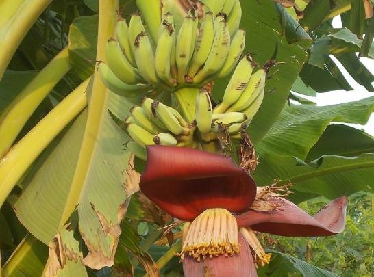 伊人久久大香线蕉无码:01-08-13-27-36-41T:47,伊人久久大香线蕉的艺术魅力与独特体验,一场跨越时空的探寻之旅