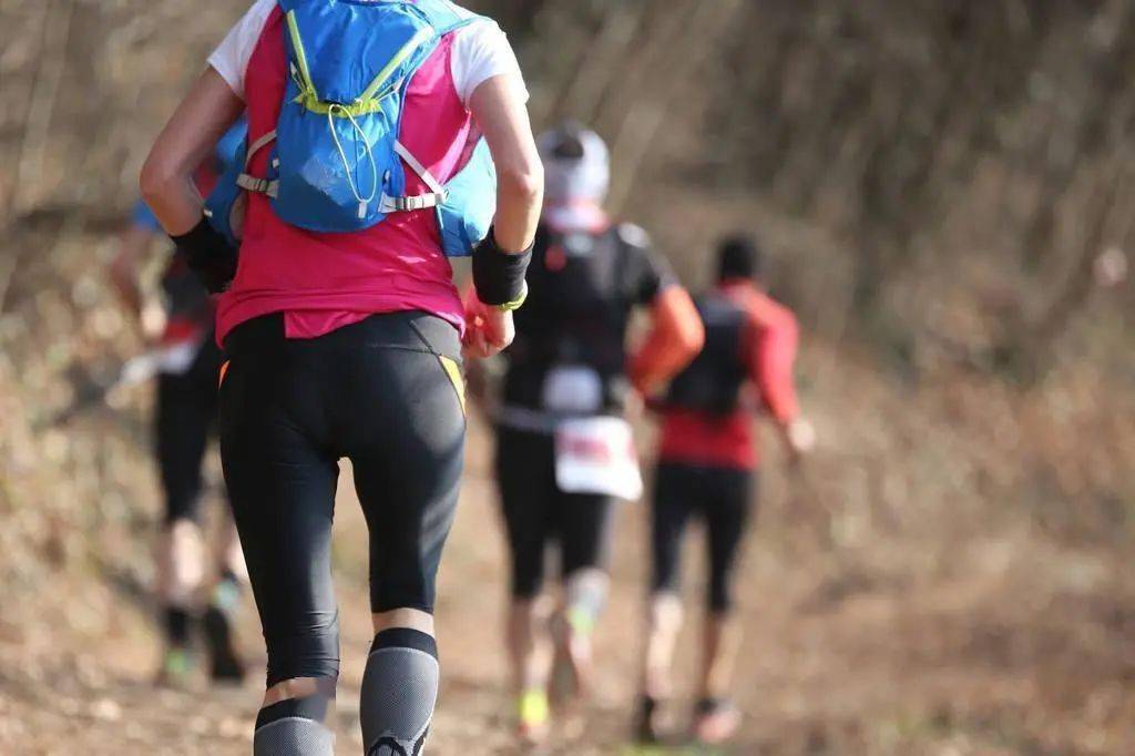 在线观看日本亚洲一区:10-21-29-30-42-48E:35,在线观看日本亚洲一区,探索那些令人心动的数字背后的故事