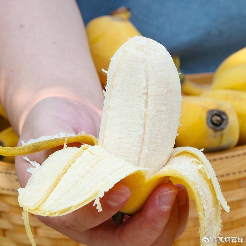 久久婷婷香蕉热狠狠综合:21-25-39-40-46-47D:04,久久婷婷香蕉热,一场深刻而独特的体验之旅