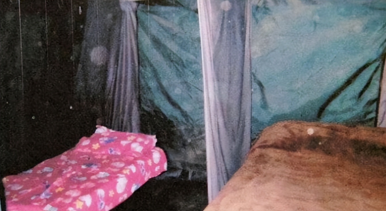 乱丶伦丶图丶区一区二区:06-16-20-28-41-43N:16,探索乱伦图区一区二区,深度解析与警示