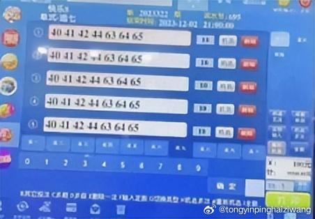 夜夜添无码一区二区三区:03-11-15-31-43-45R:10,夜夜添彩,探索无码一、二、三区与神秘数字的秘密