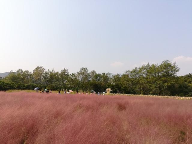 国产乱子伦精品无码码专区:07-21-23-27-30-48V:17,国产乱子伦精品无码专区,探索与赏析