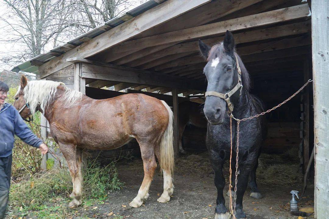 精品国产第一国产综合精品:10-21-29-30-42-48E:35,精品国产第一国产综合精品,探索卓越,无限可能