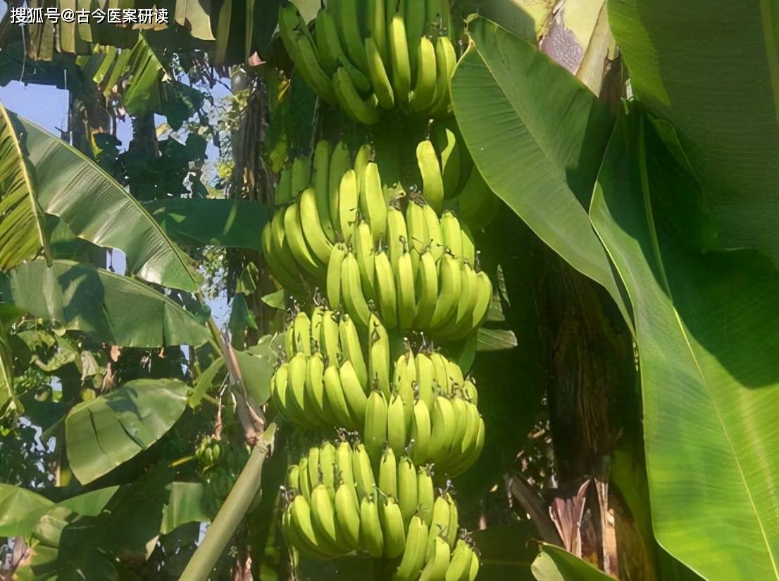 伊人久久大香线蕉无码不卡:04-11-21-26-41-47L:14,伊人久久,大香线蕉的优美世界——无码不卡的探索之旅